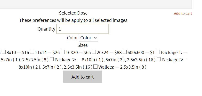 Order Form code bleeding onto gallery page