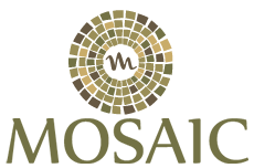 Mosaic Salons